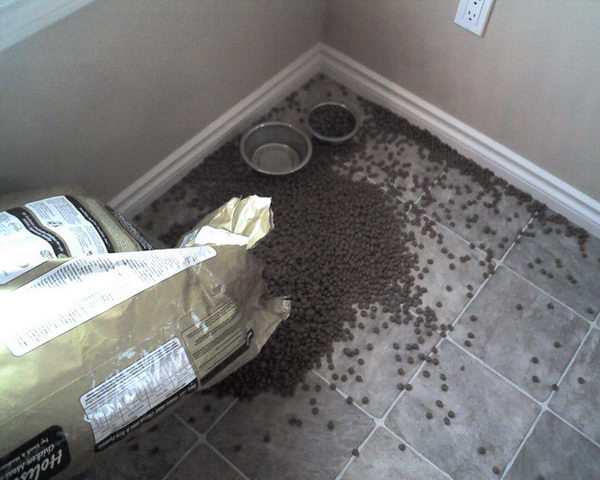 dogfoodspill